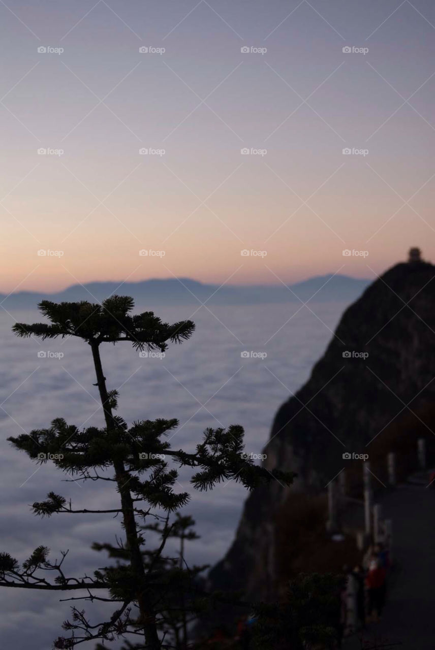 sky china tree sunset by el62580000