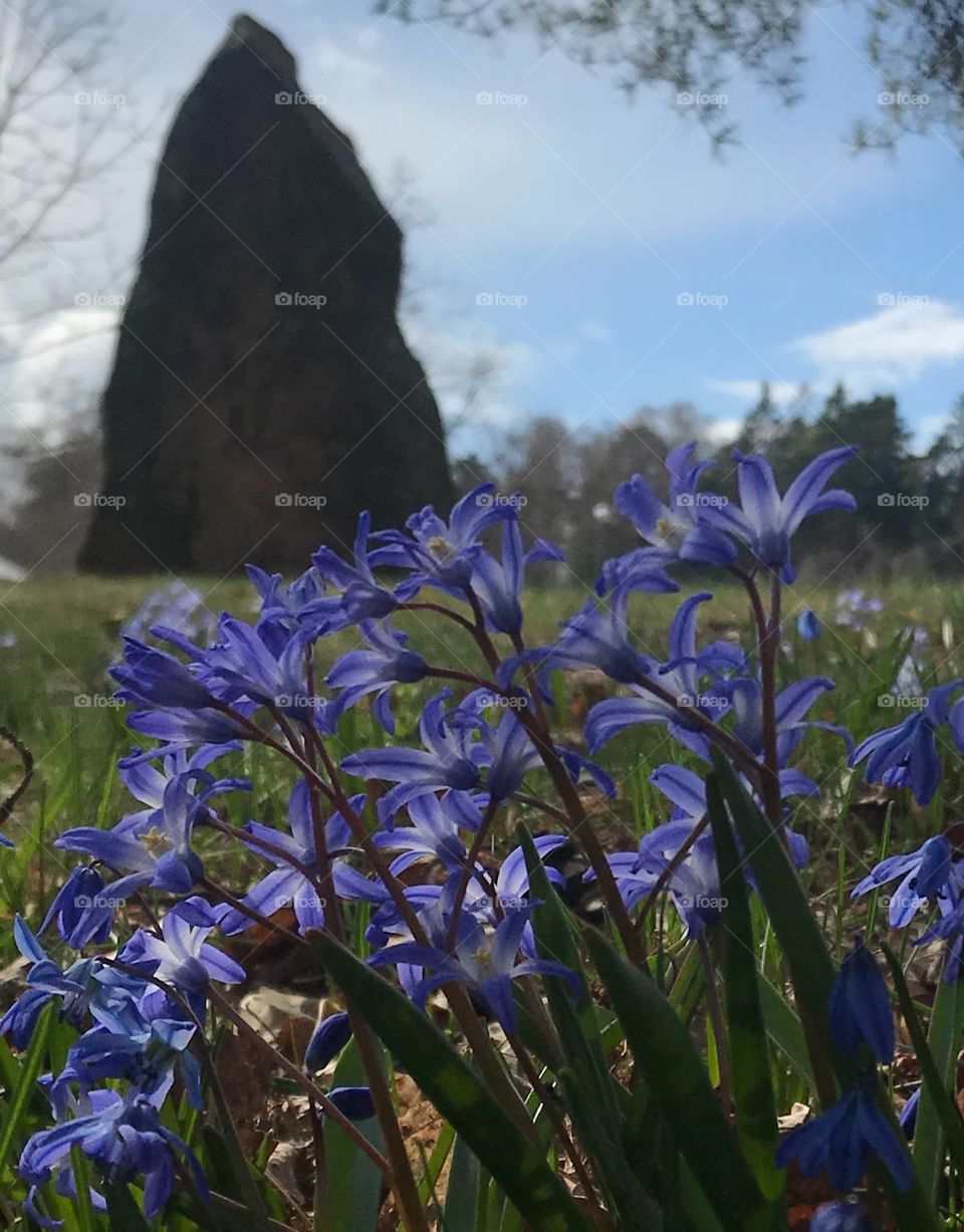Flowers and the runestone.