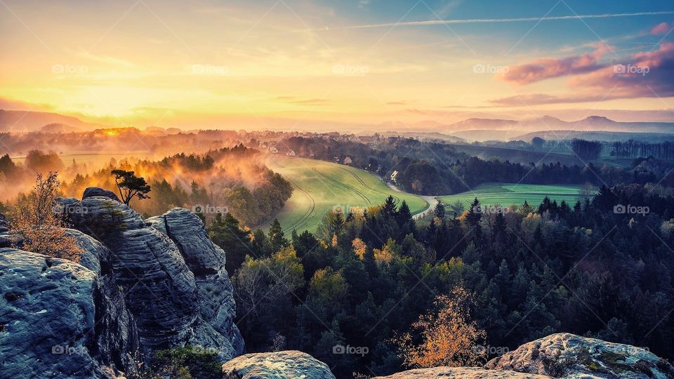 Nature is very very nice and a butiful color very nice tree