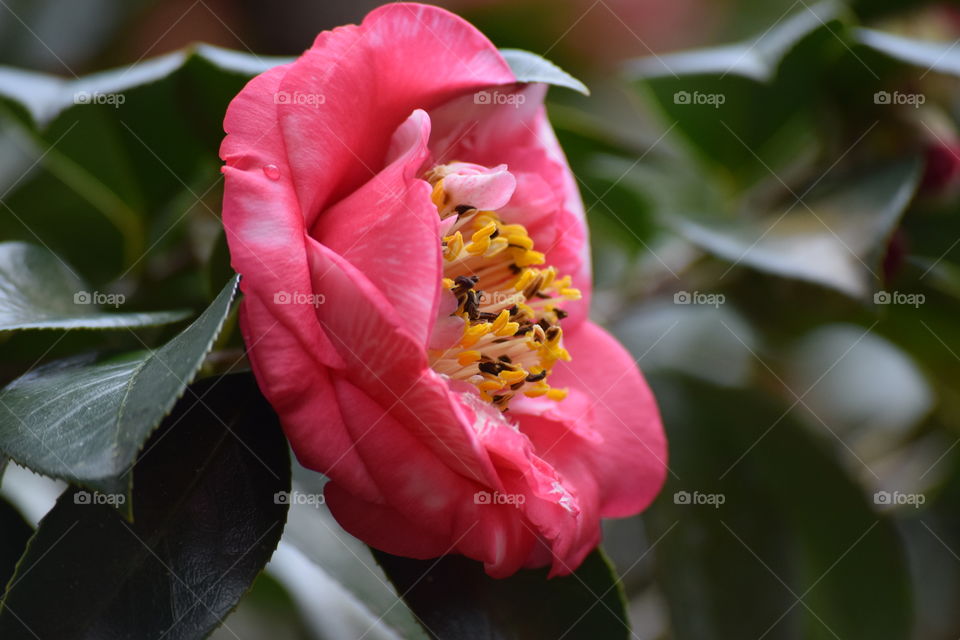 Sideview just as lovely