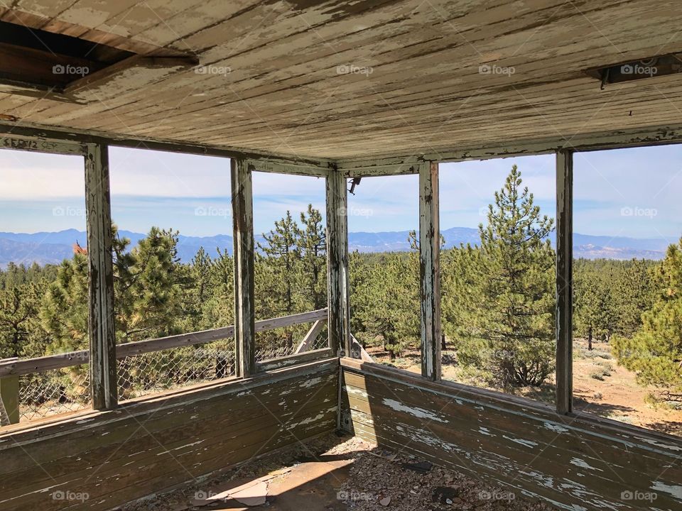 View of the forest from an old fire lookout
