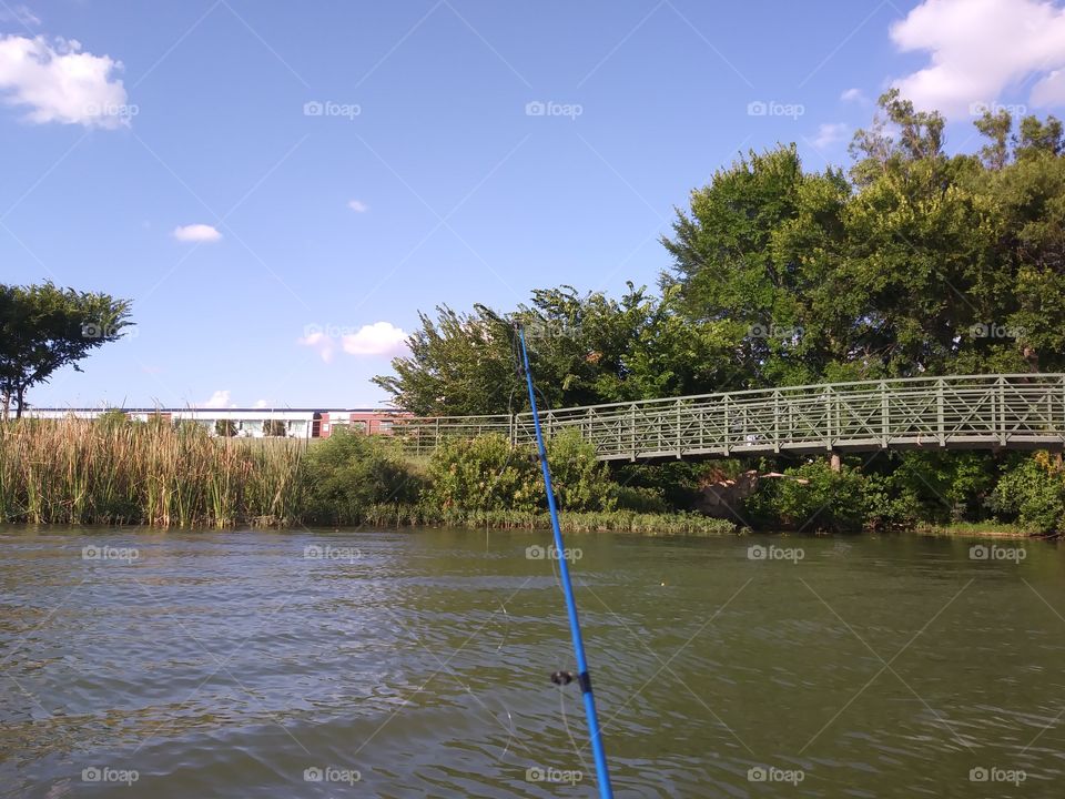 Bridge Fishin