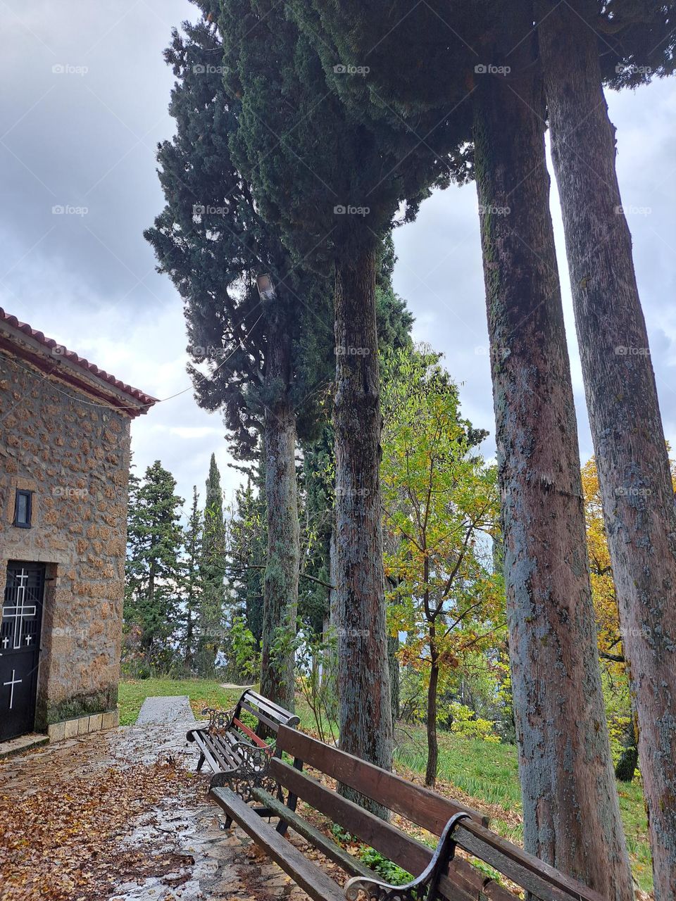 Greece Trikala korintheas trees