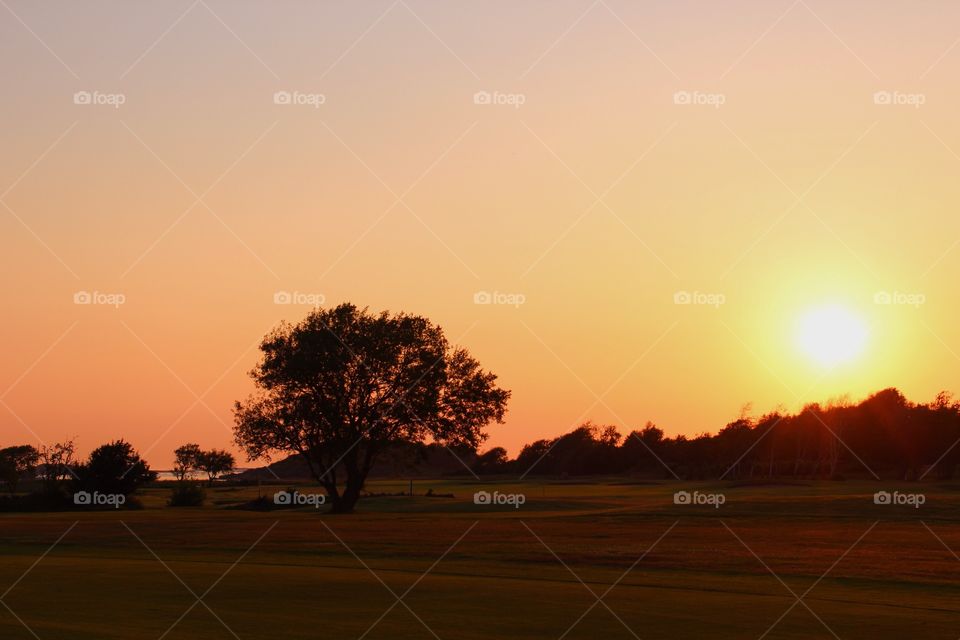 Grassy land against clear sky