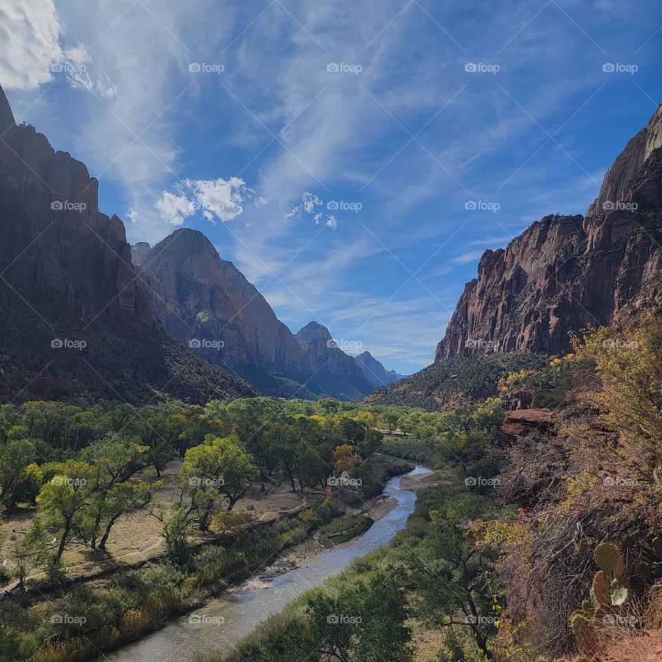 A view at Zion National Park