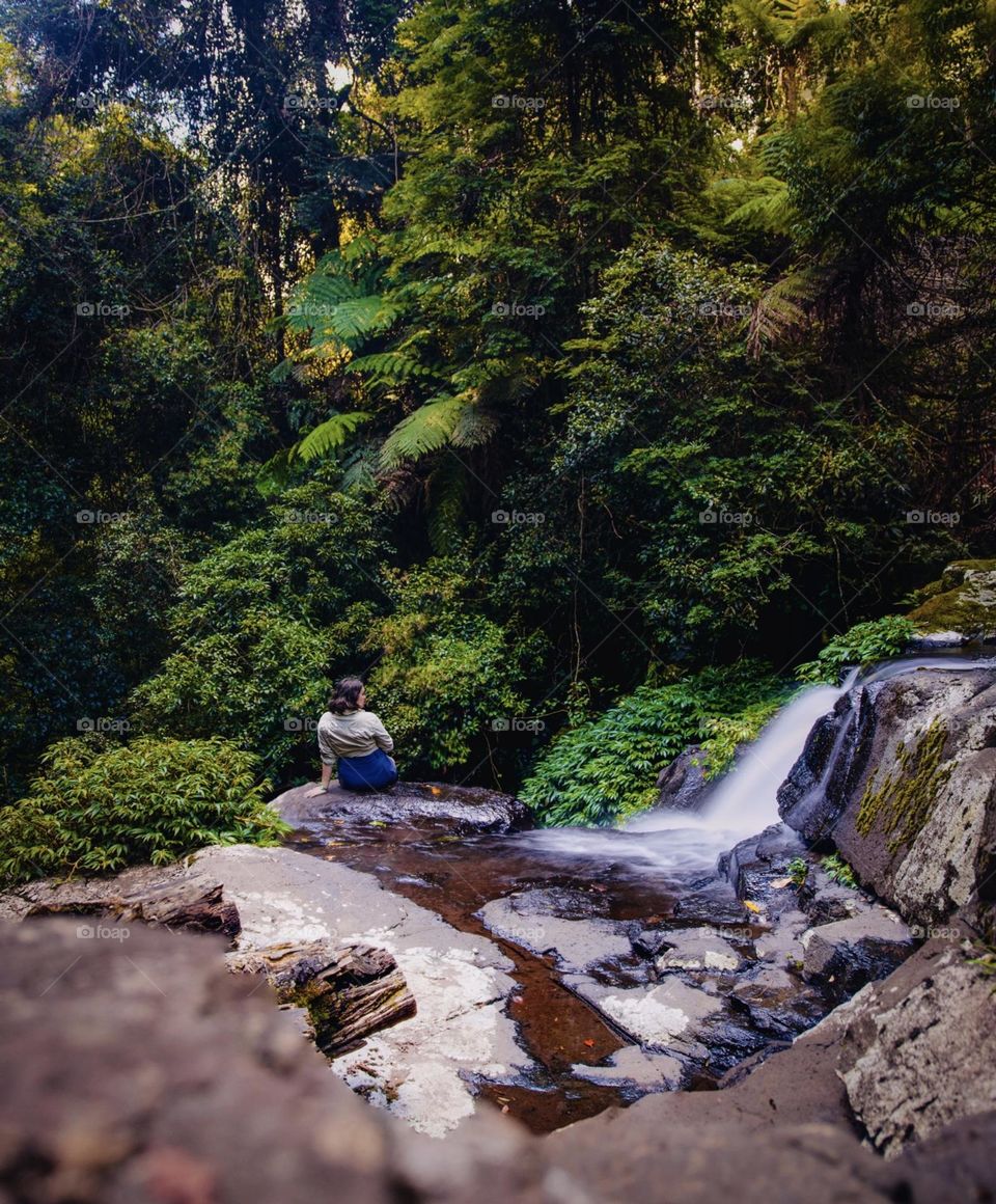 Enjoying the scenery in Lamington Platteau, Australia!