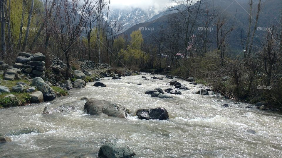 Water, River, Stream, Landscape, Nature