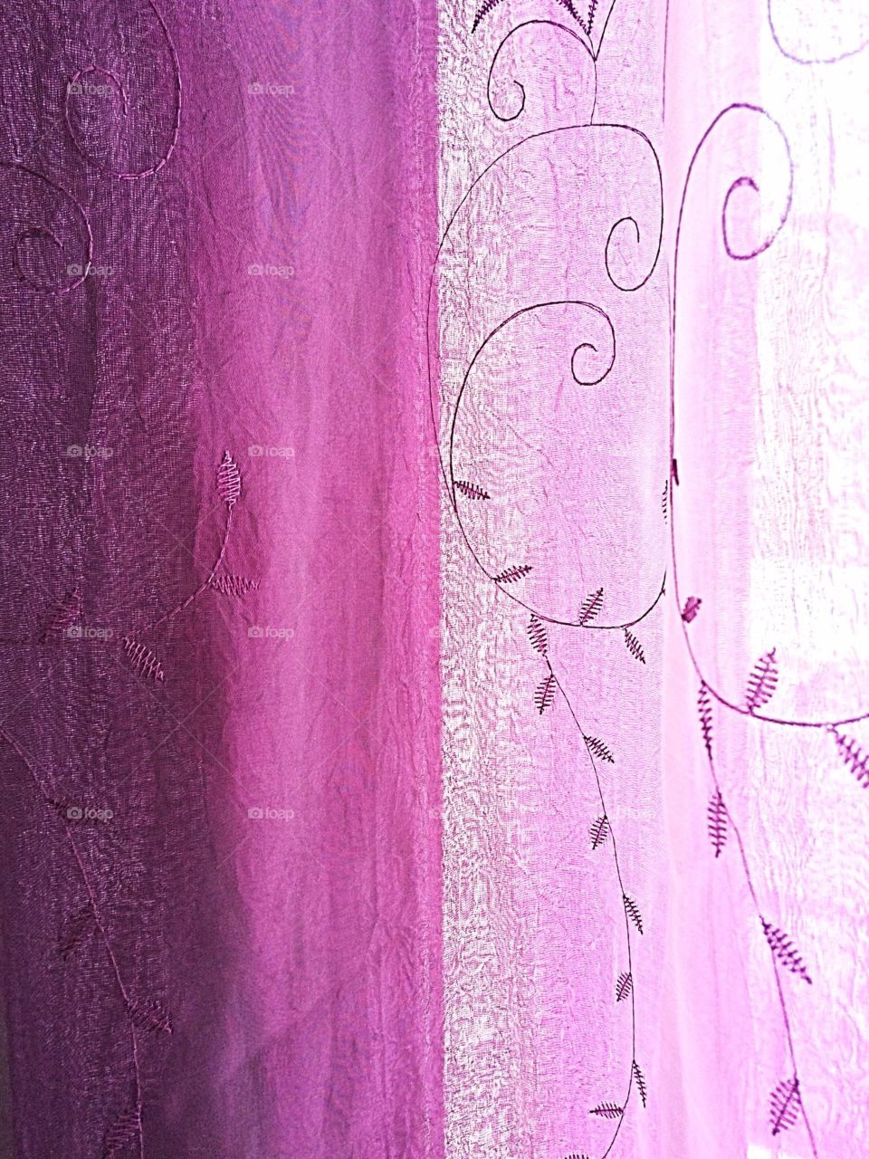 Purple Curtains 