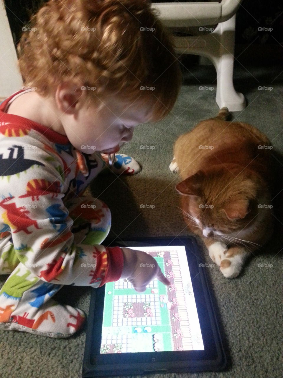 special bonding . "Simba" watching my grandson Ryan on the iPad