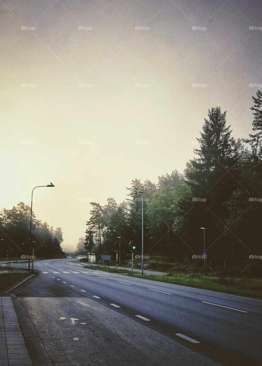Empty morning road