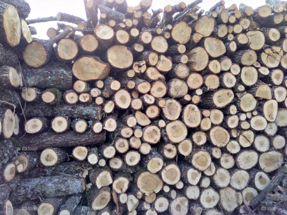 Editors' Choice: Photo of the Week