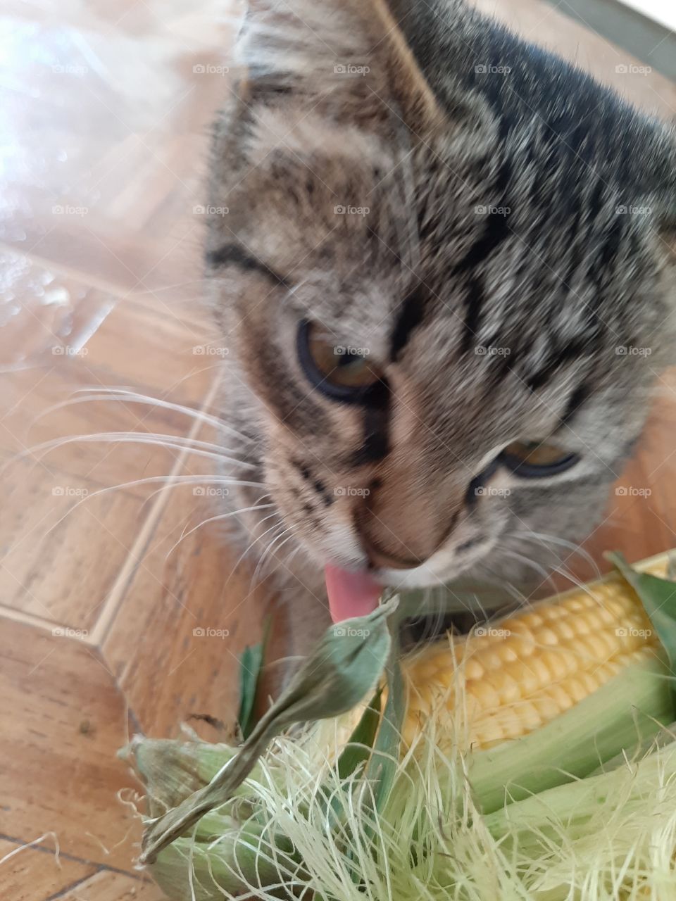 Внуснотища!