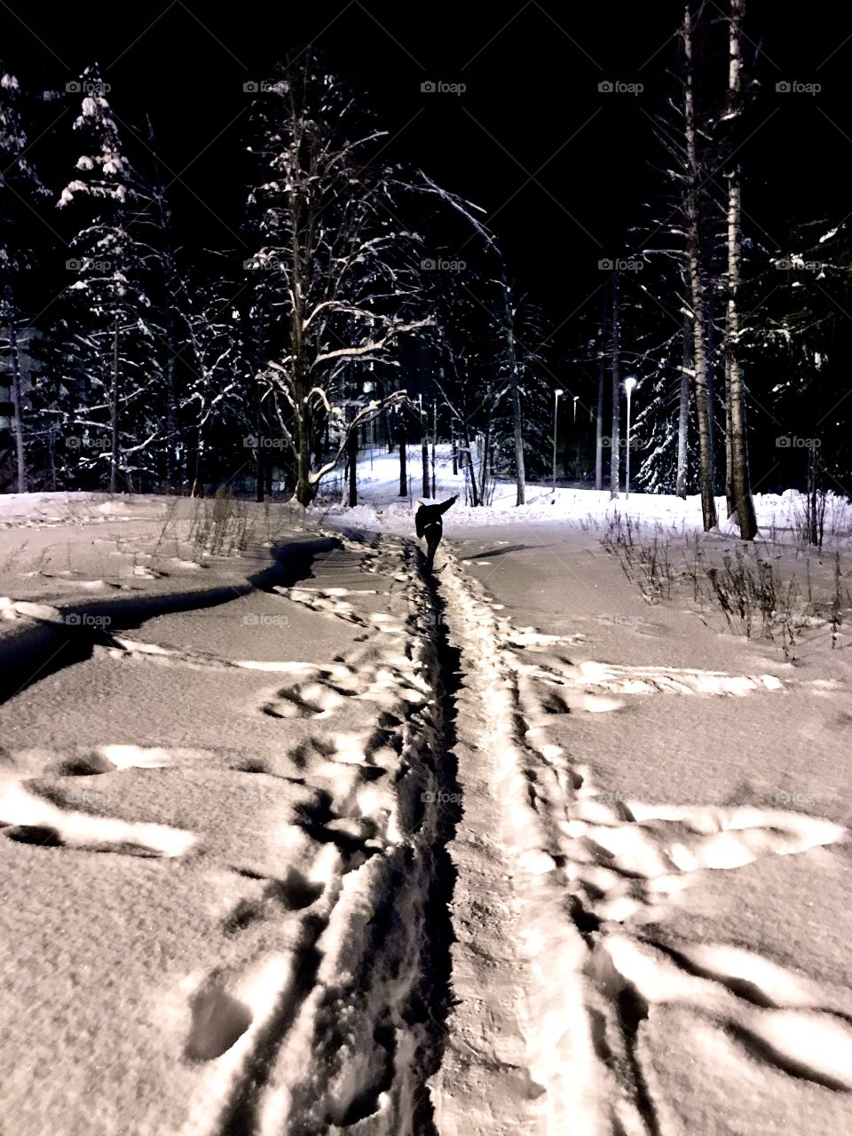 Path in snow