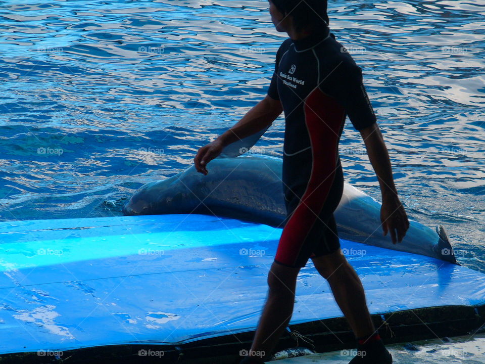 Swimming, Water, Dug Out Pool, Swimmer, Swimming Pool