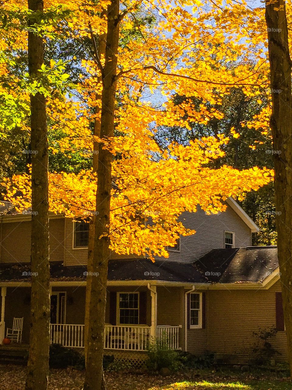 House with trees with autumn color 