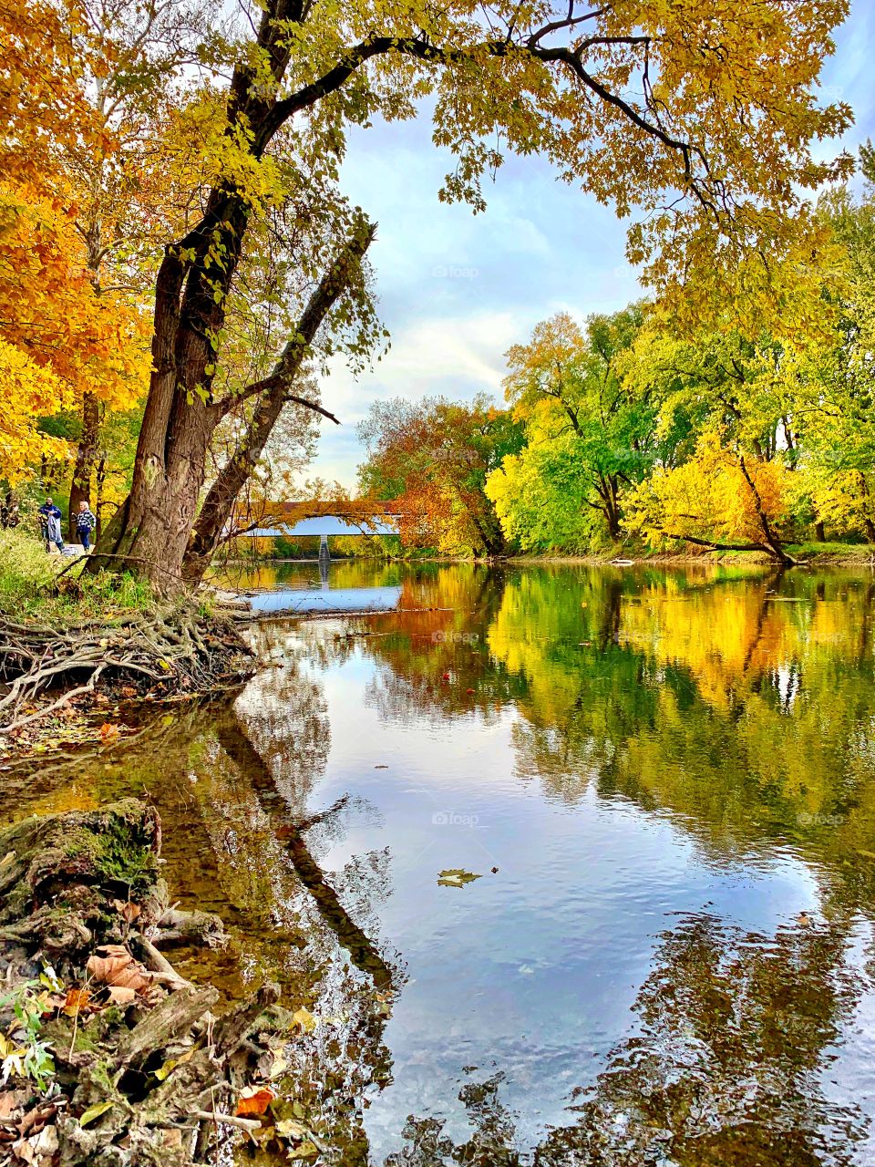 Beautiful fall in Indiana with the covered bridge and beautiful fall trees 