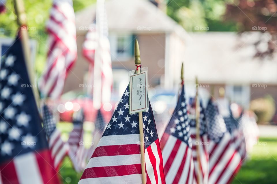 Flags for Memorial Day, honoring our Veterans