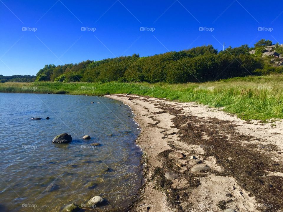 Beach. Picture taken during a walk