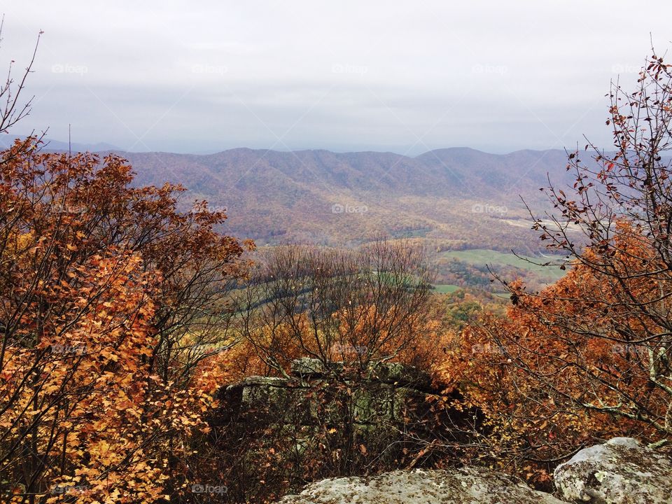 Blue Ridge Mountains in Fall