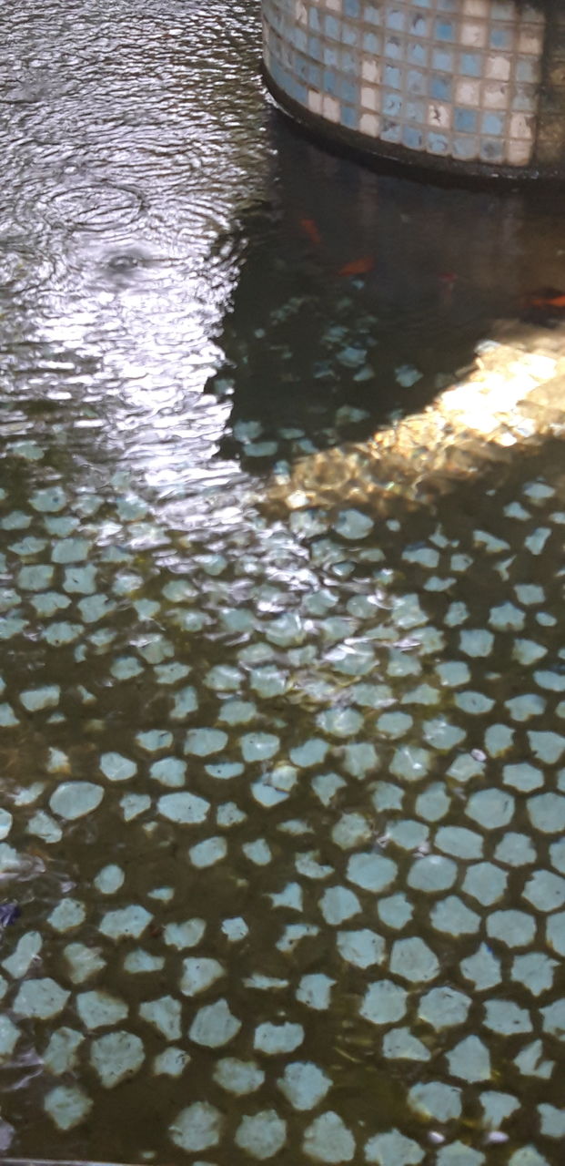 pattern