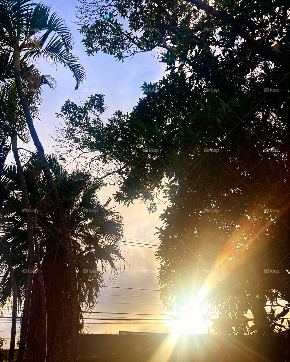 🌄🇺🇸 An extremely beautiful dawn in Jundiaí, interior of Brazil. Cheer the nature! / 🇧🇷 Um amanhecer extremamente bonito em Jundiaí, interior do Brasil. Viva a natureza! 
