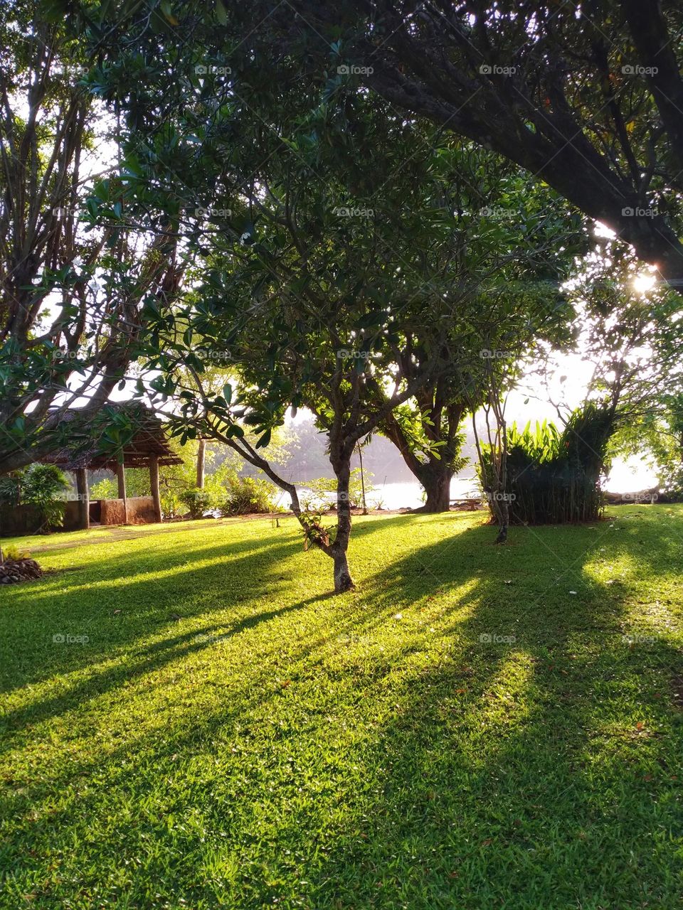 Beautiful garden in Sri Lanka..
nature ❤ SL