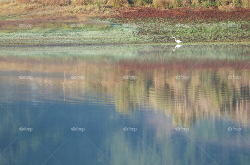 nature white alone colors by stephenkirsh