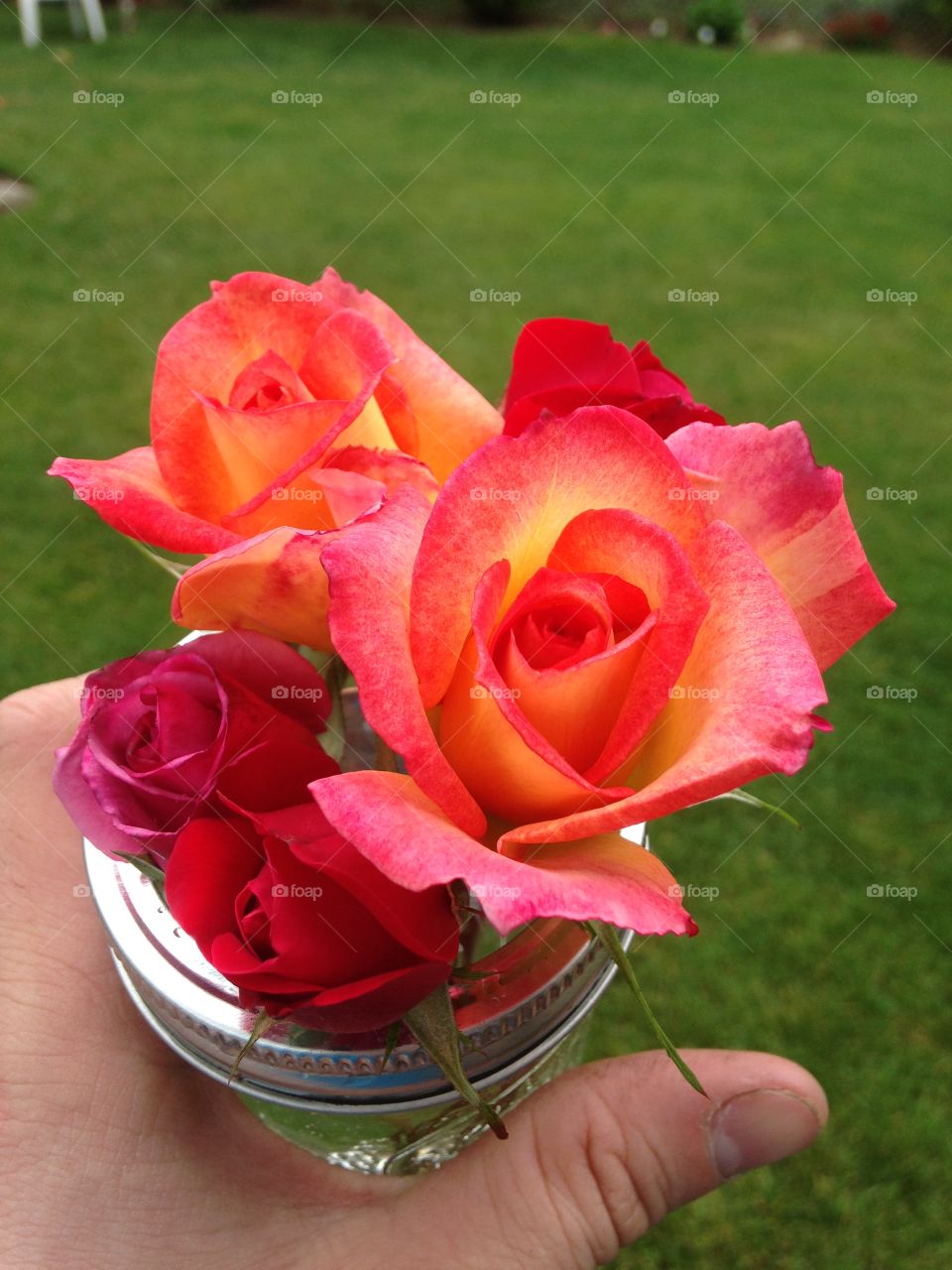 Homemade Bouquet . A few roses in a mason jar.