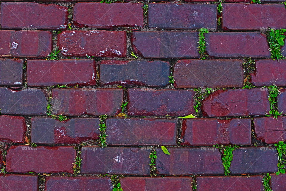 brick texture background photo