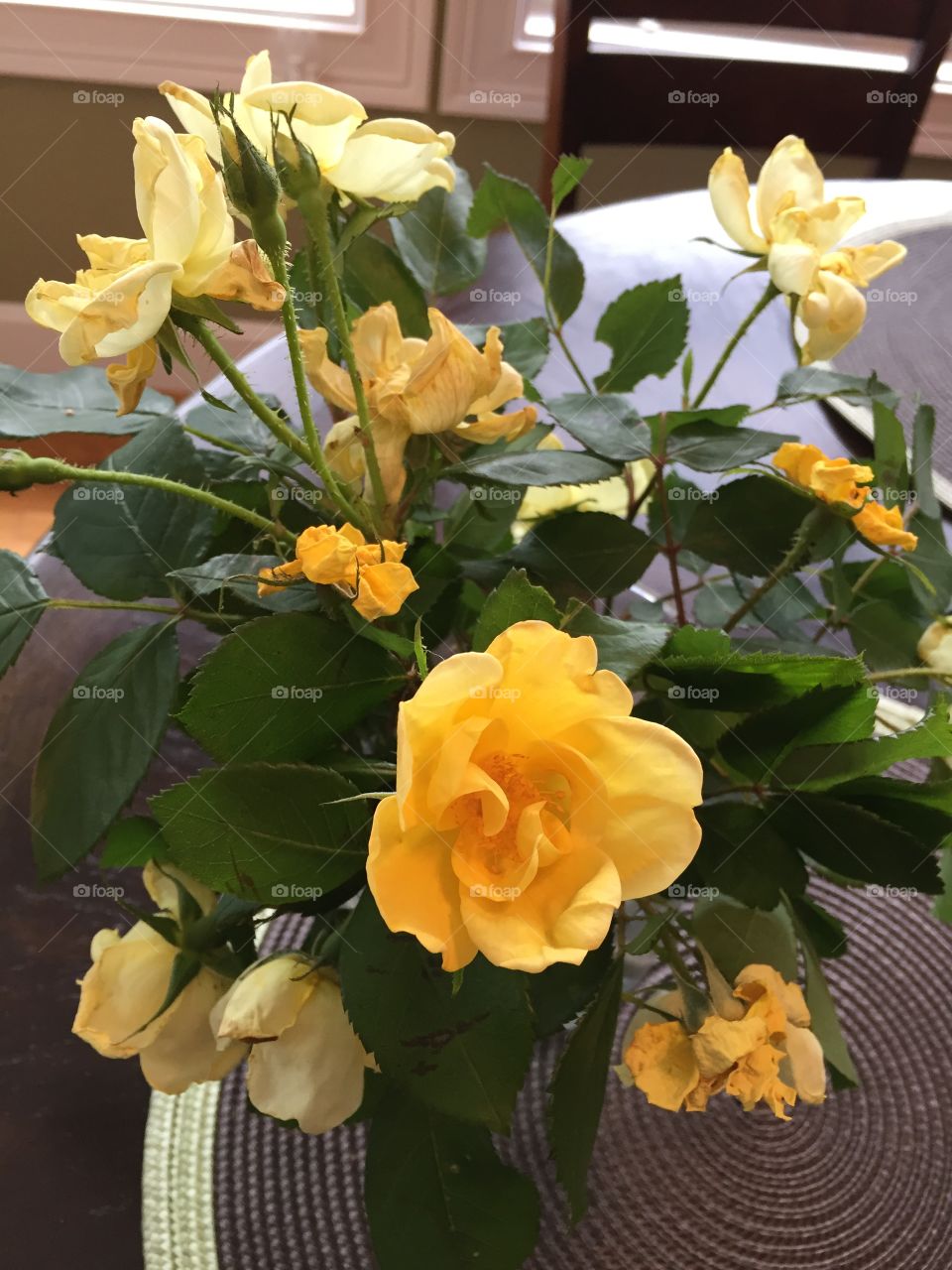 Yellow roses