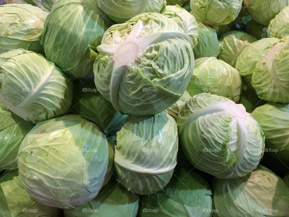 Cabbage 