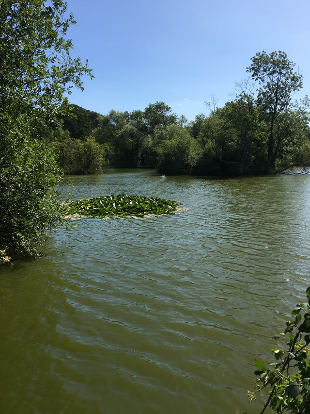 Lakes