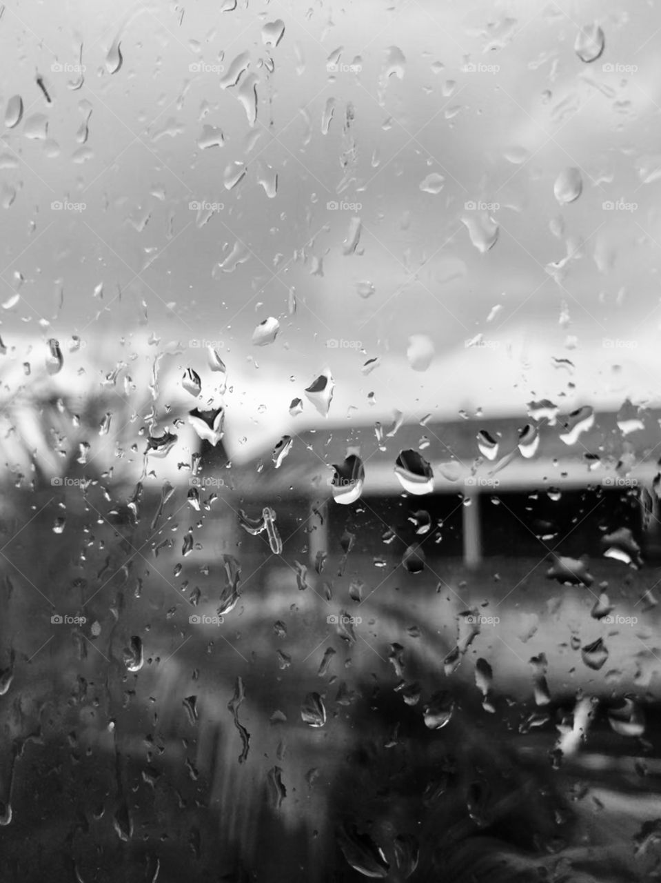 Rain on window today.