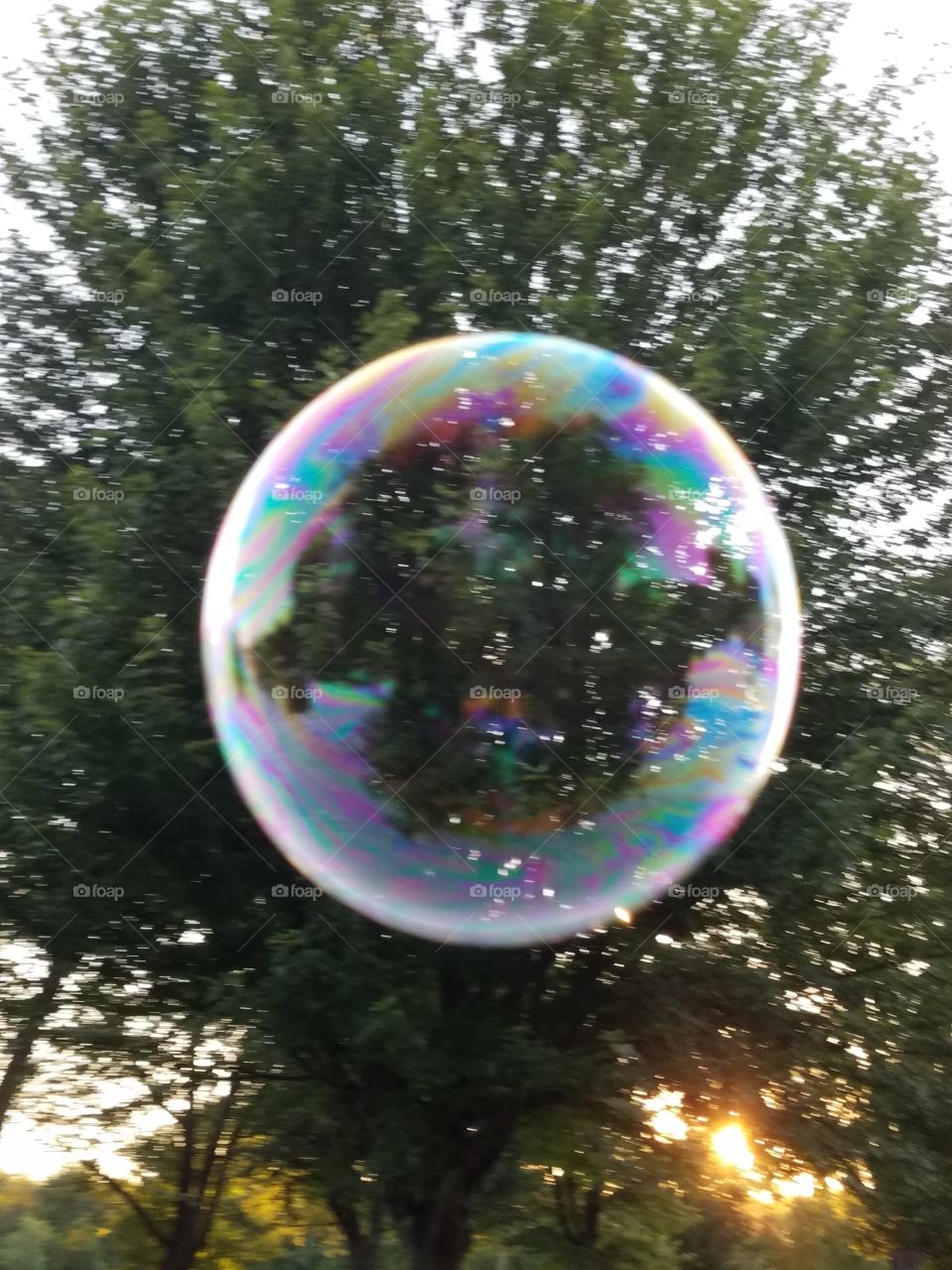 Bubble