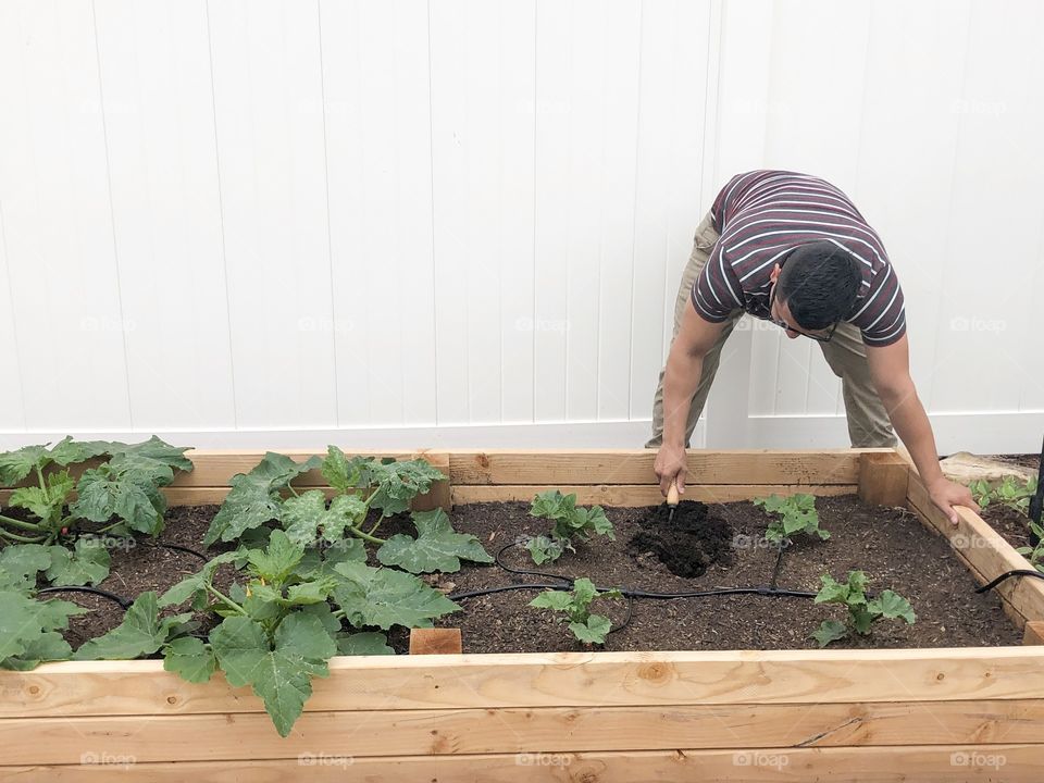 Gardening 