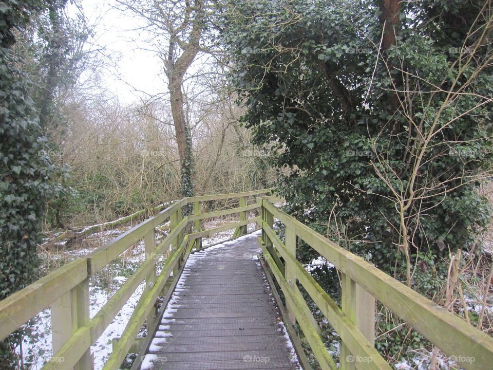 Wooden Bridge