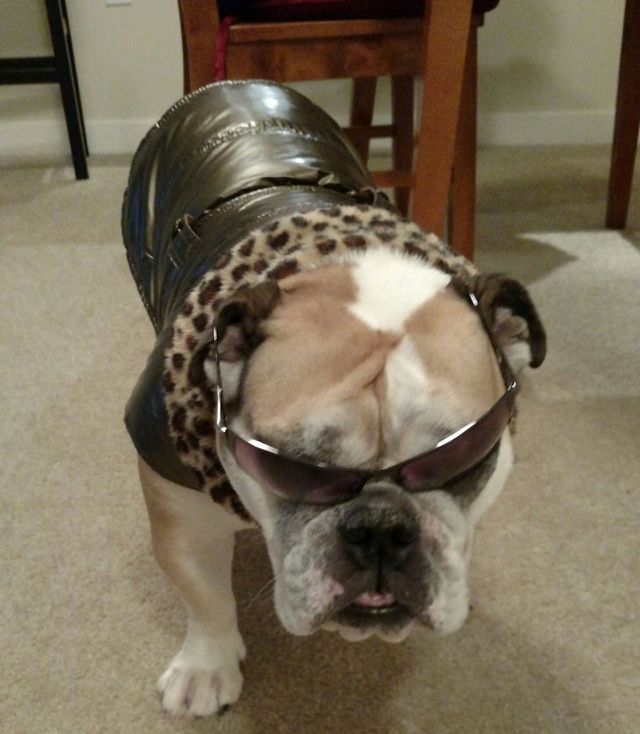 Dressed up!!
