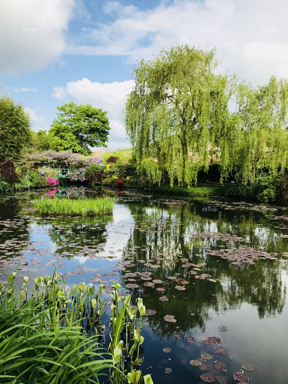 Monets Garden japanese bridge 