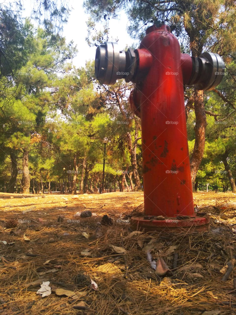 True nature, No filters