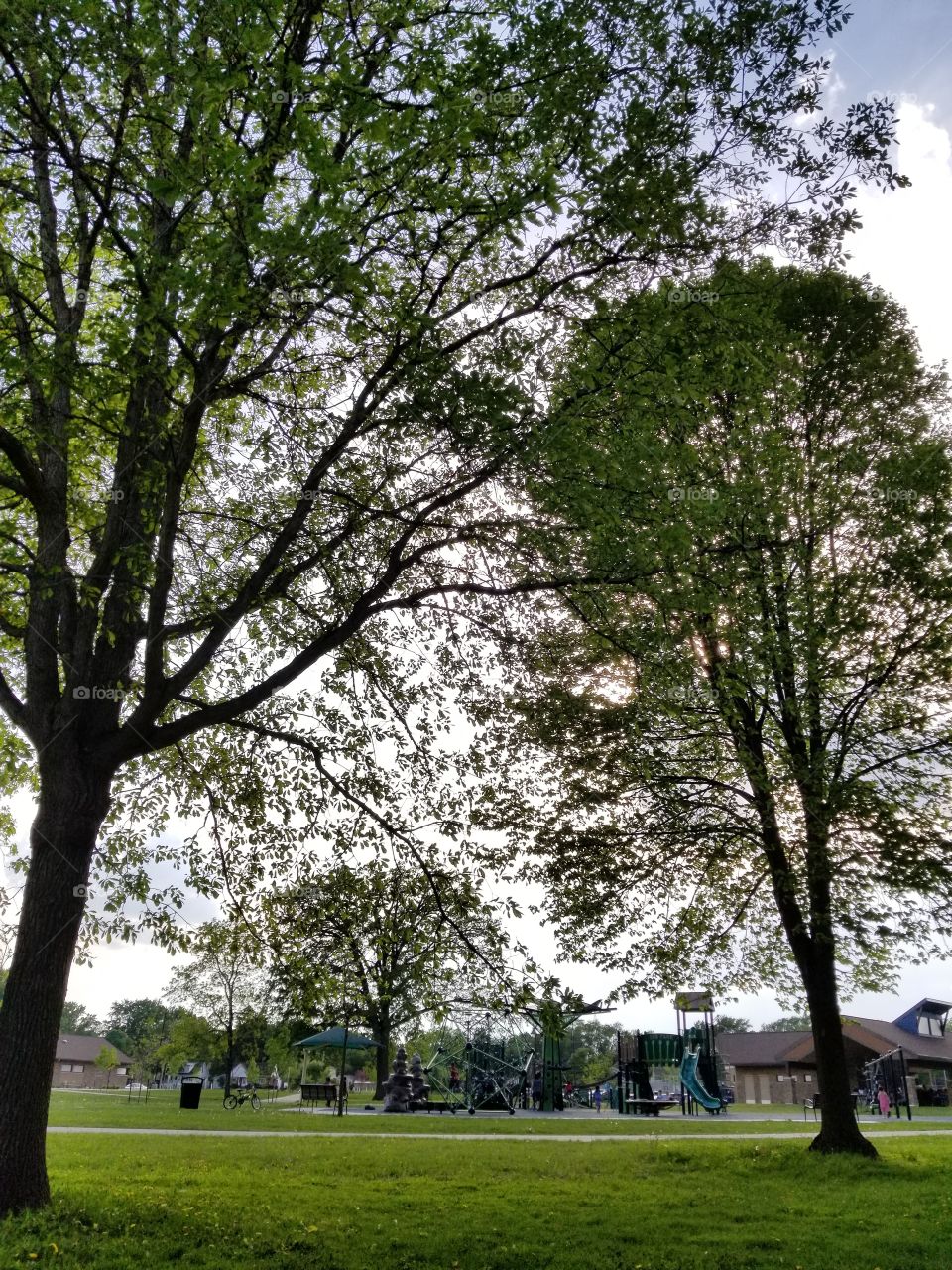 Tree Lined Playland