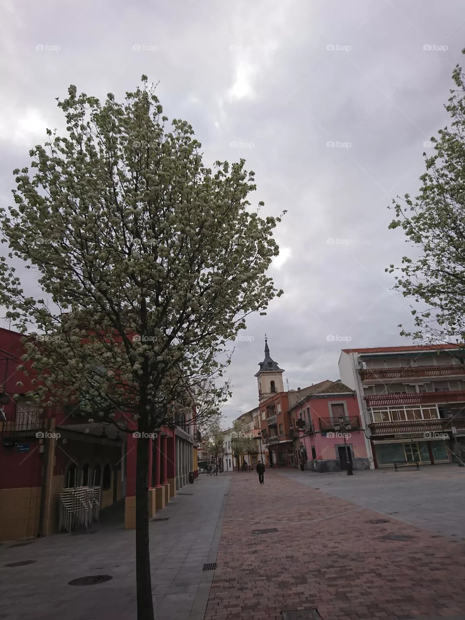 La floración 