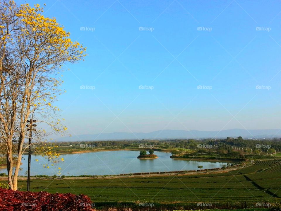 Singh Park, Chiang Rai, Thailand