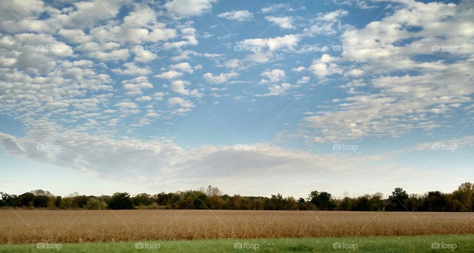 Open Land and Sky