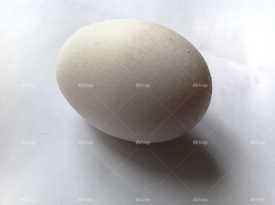 easter egg easter food ägg by Titania