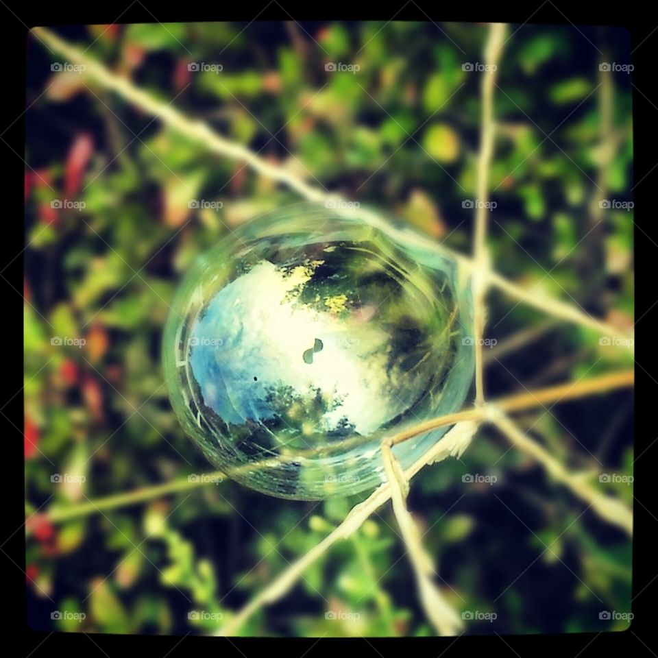 the bubble has landed