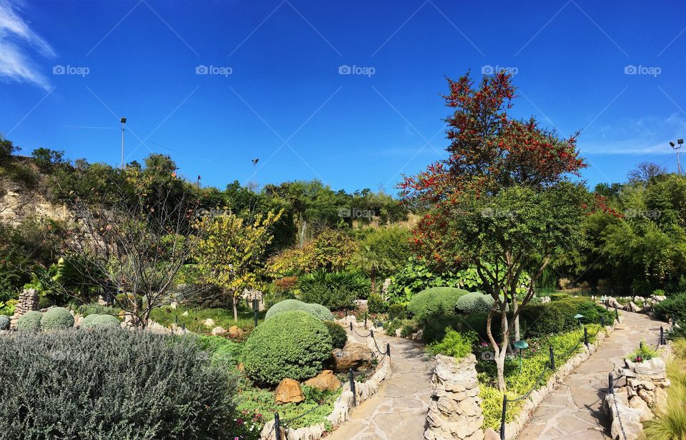 San Antonio Japanese Garden 