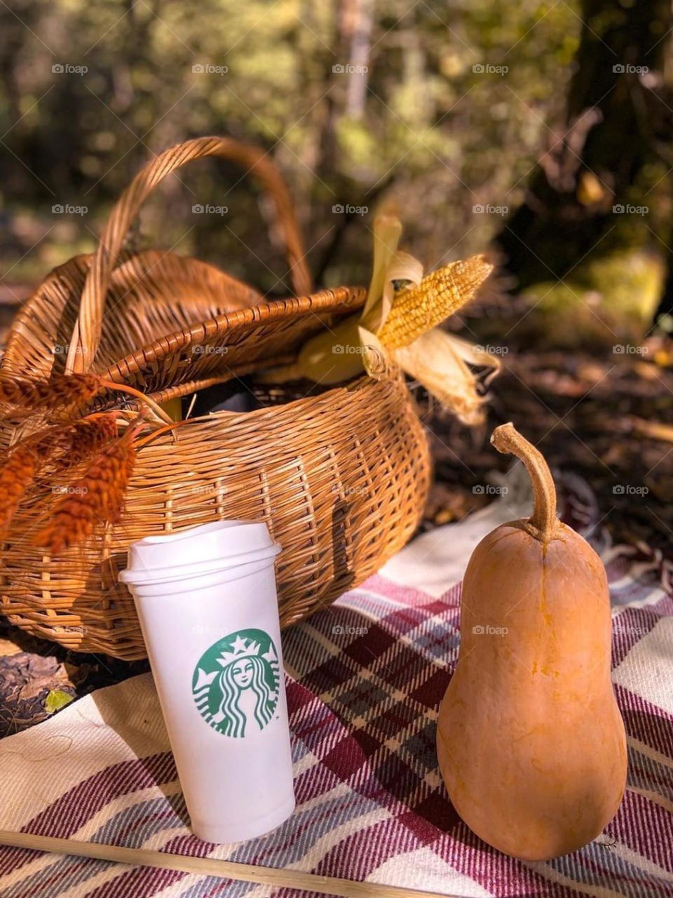 Nothing is better than a picnic in spring