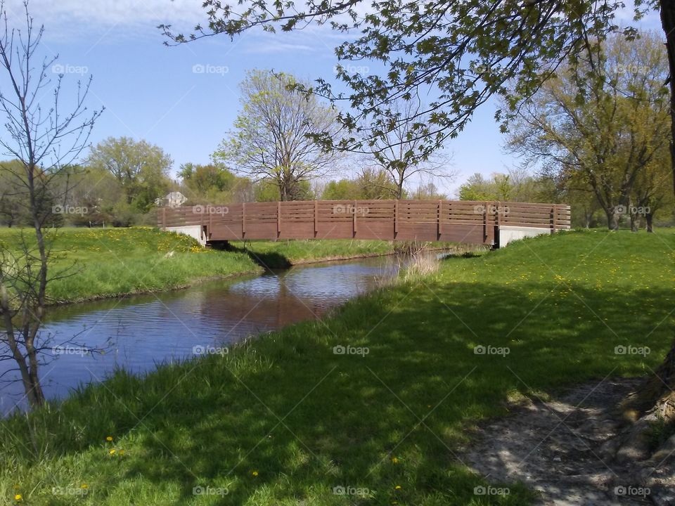 Landscape, Tree, Grass, Nature, No Person