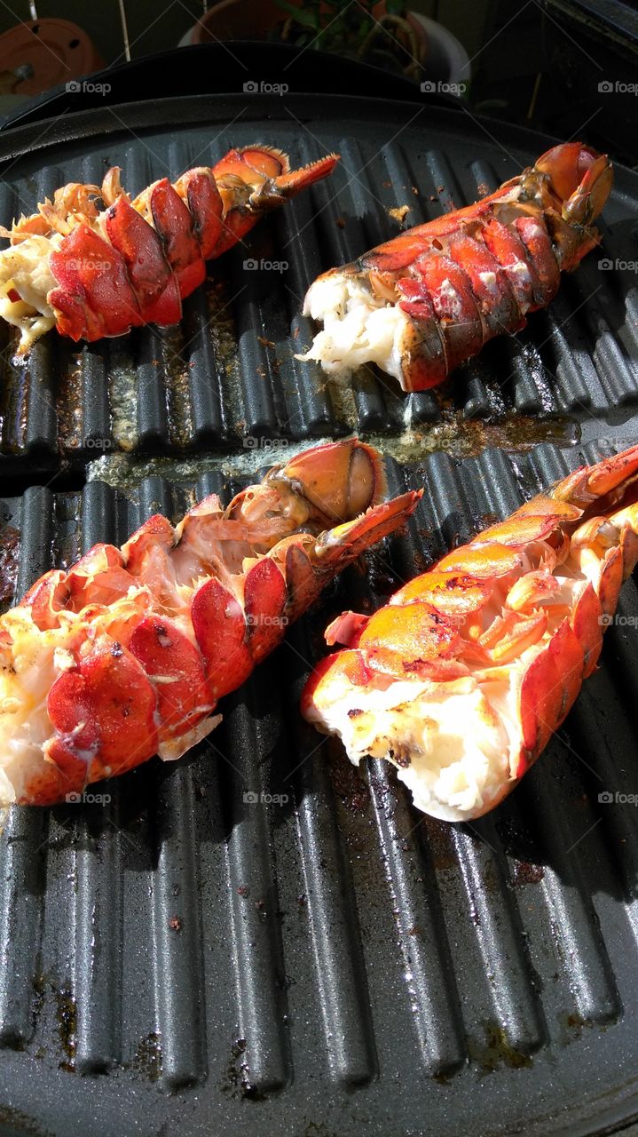 lobsters on the grill on a Sunday afternoon