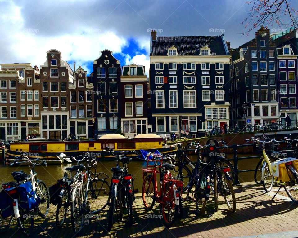 Bright sights of an afternoon Amsterdam walk